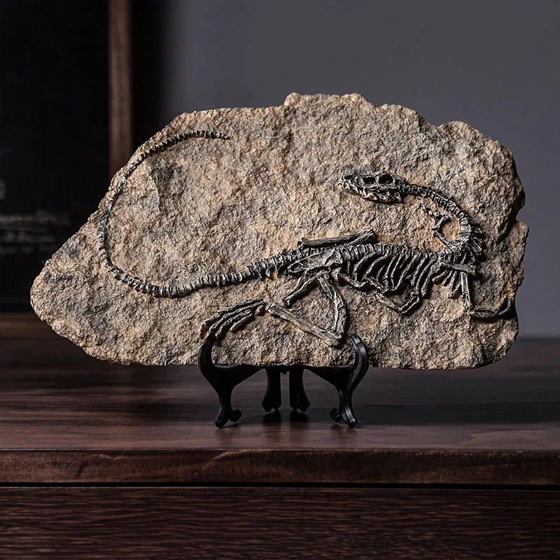 Jurassic Relic Display Piece